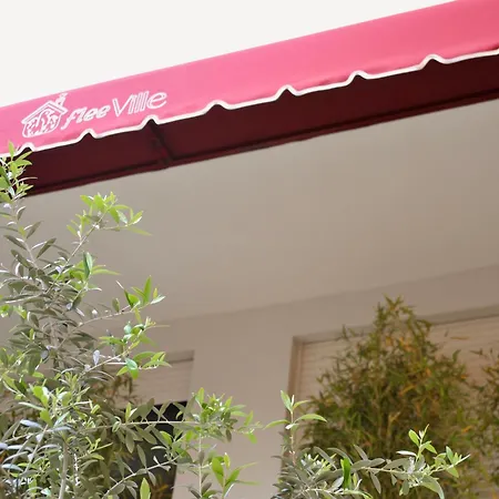 Fleeville Kozi 2 Durres